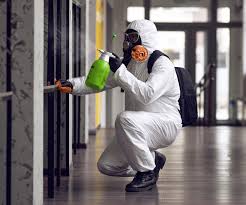 Trusted Rushville, IL Mold Removal Experts